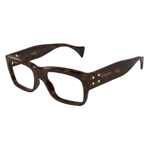 Gucci Mann International HAVANNA RECYCLED ACETATE GG1707O Japan