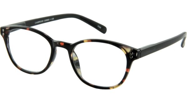 I NEED YOU CAMBRIDGE G59800 havanna-schwarz +1,50 dpt. Kunststoff