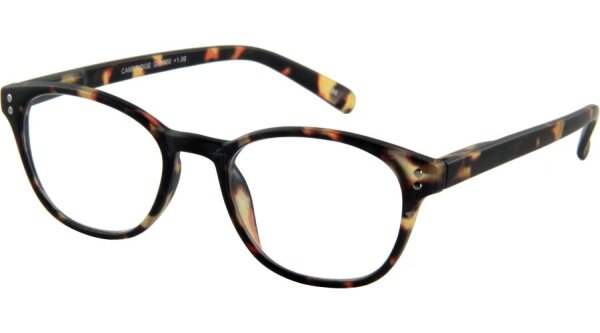 I NEED YOU CAMBRIDGE G59900 havanna matt +3,00 dpt. Kunststoff