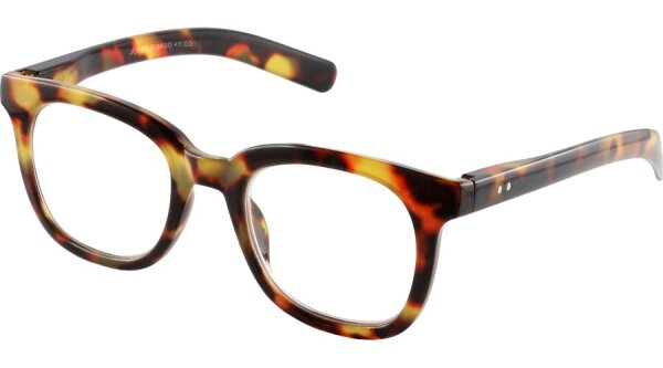 I NEED YOU JOHN G3400 havanna dunkel +3,00 dpt. Kunststoff