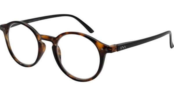 I NEED YOU SASHA G73700 havanna schwarz +2.5 dpt mit Federtechnik kunststoff