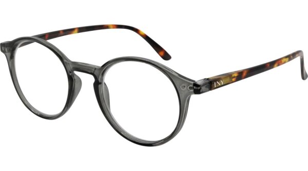 I NEED YOU SASHA G73900 grau havanna +2.5 dpt mit Federtechnik kunststoff
