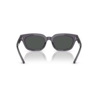 Emporio Armani - Sonnenbrillen - Damen - 610687 - Grau transparent