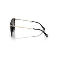 Michael Kors MK2184U - Sonnenbrillen - Damen - 30058G - Schwarz