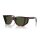Persol - Sonnenbrillen - Herren - 24/31 - Havana