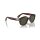 Persol - Sonnenbrillen - Damen - 24/31 - Havana