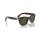 Persol - Sonnenbrillen - Unisex - 24/31 - Havana