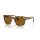 Persol - Sonnenbrillen - Unisex - 105633 - Braun/Beige Tortoise