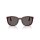 Persol - Sonnenbrillen - Unisex - 1216B1 - Milky Plum