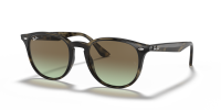 Ray-Ban - Sonnenbrillen - Unisex - 731/E8 - Havana Grau