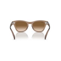 Ray-Ban - Sonnenbrillen - Unisex - 664051 - Hellbraun transparent