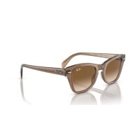 Ray-Ban - Sonnenbrillen - Unisex - 664051 - Hellbraun transparent