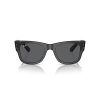 Ray-Ban - Sonnenbrillen - Unisex - 1390B1 - Transparent Schwarz