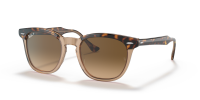Ray-Ban - Sonnenbrillen - Unisex - 1292M2 - Havana auf...