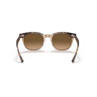 Ray-Ban - Sonnenbrillen - Unisex - 1292M2 - Havana auf Braun transparent