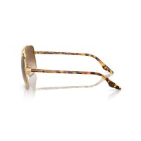Ray-Ban - Sonnenbrillen - Unisex - 001/51 - Arista Gold