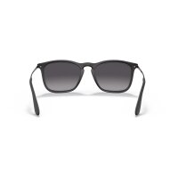 Ray-Ban - Sonnenbrillen - Herren - 622/8G - Rubber Black