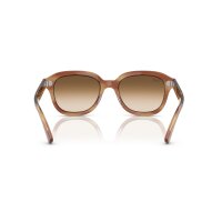 Ray-Ban - Sonnenbrillen - Unisex - 140351 - Braun gestreift