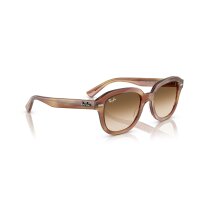 Ray-Ban - Sonnenbrillen - Unisex - 140351 - Braun gestreift