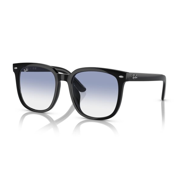 Ray-Ban - Sonnenbrillen - Unisex - 601/19 - Schwarz