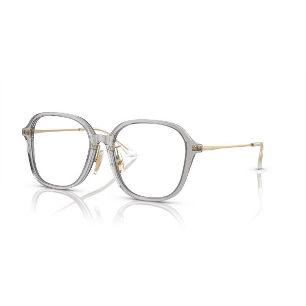 Vogue Eyewear - Korrektion - Damen - 2820 - Grau transparent