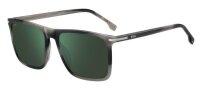 BOSS 1750/G/S MÄNNER VOLLRANDFASSUNG 2W8-HORN GRAU