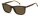 Carrera CA 8918/C Männer Vollrandfassung 12J-Braun Orange